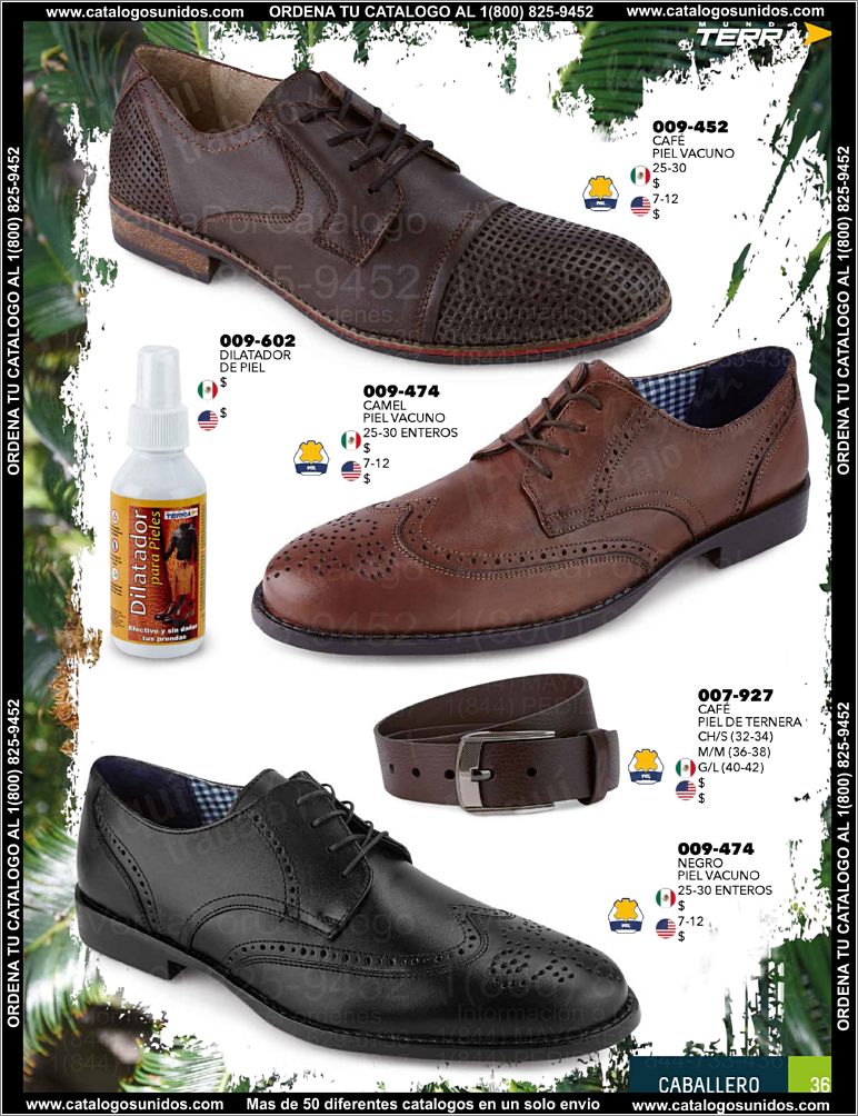 Caballero-PV15_Page_37