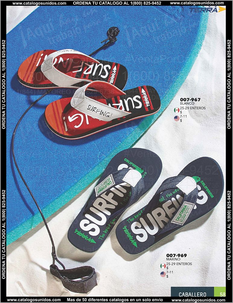 Caballero-PV15_Page_59