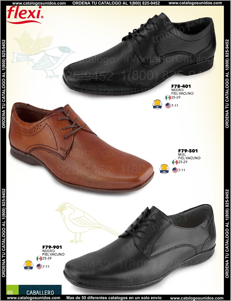 Caballero-PV15_Page_66