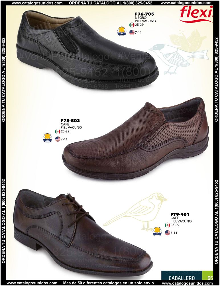 Caballero-PV15_Page_67