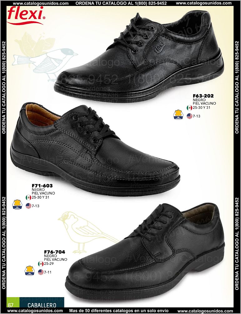 Caballero-PV15_Page_68