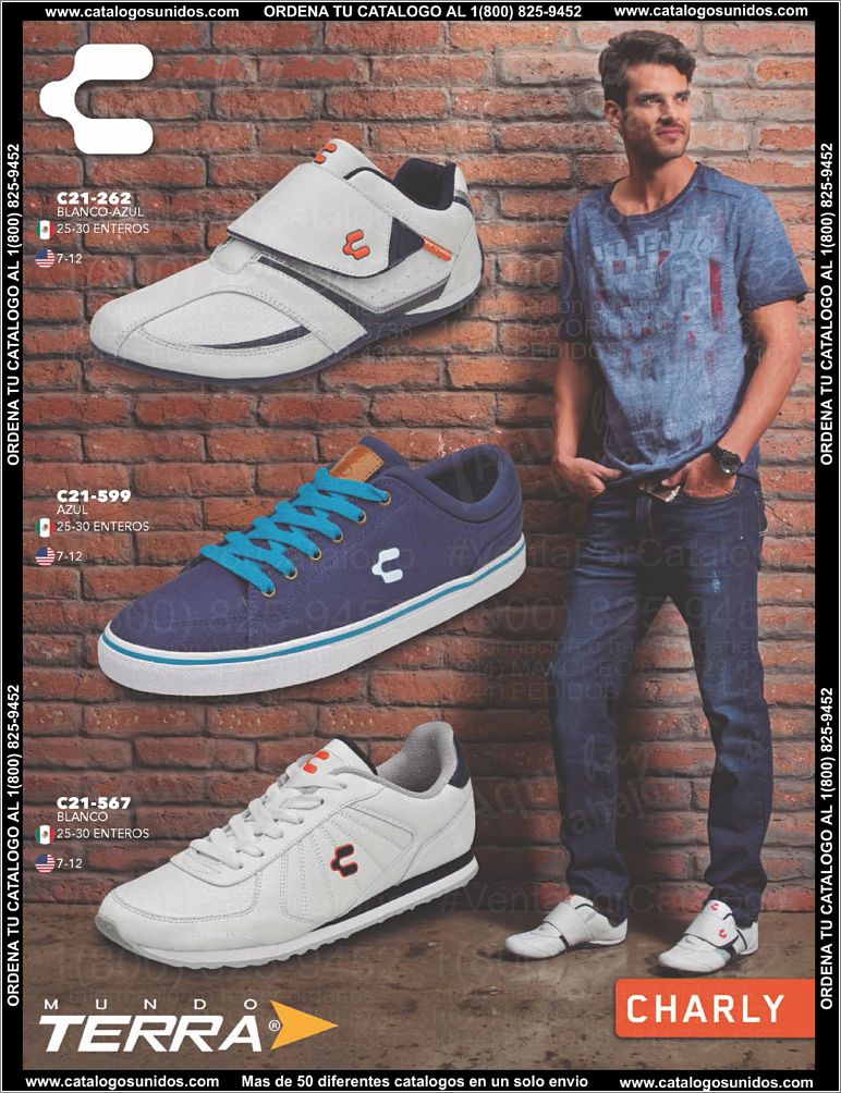 Caballero-PV15_Page_72