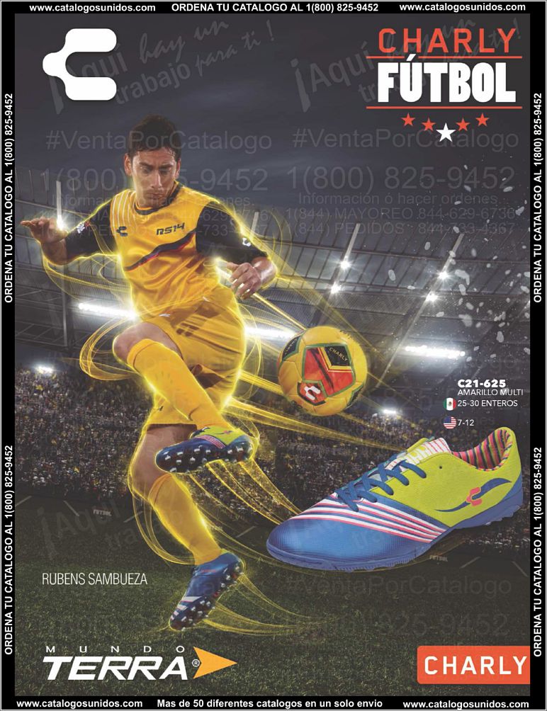 Caballero-PV15_Page_73