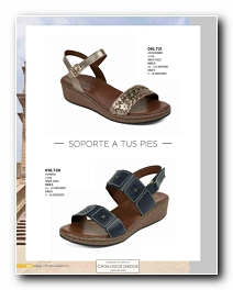 Ver Catalogo