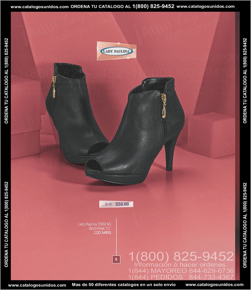 SCPakar_OI_2015_2016_Page_004