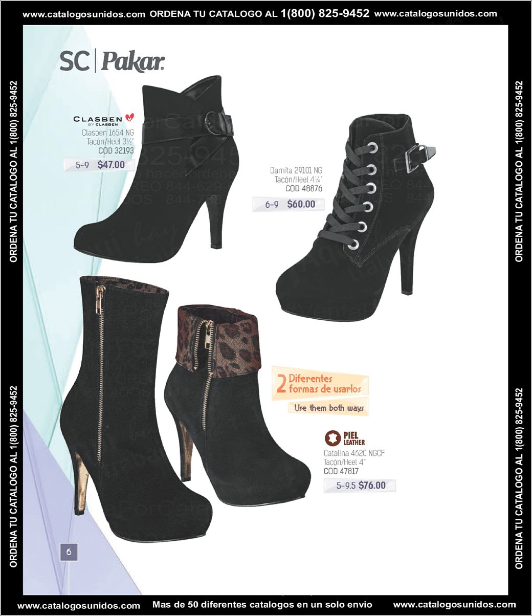 SCPakar_OI_2015_2016_Page_006