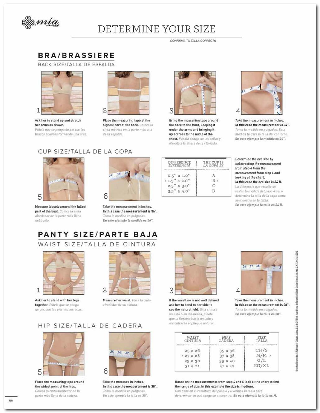 Ver Catalogo